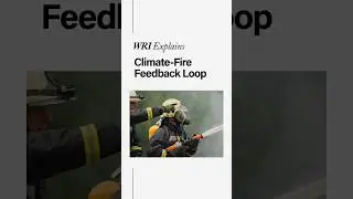 Why are forest fires getting worse? Climate-Fire Feedback Loop Explained
