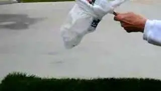 pooper scooper uses grocery bags