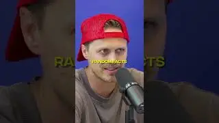 Hollow Knight Silksong просто стал ОПАСНЫМ