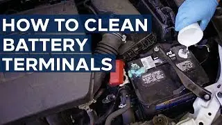 How To Clean Battery Terminals in Your Car | Sears Knowledge Center