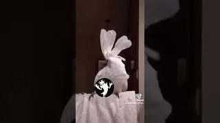 More of Penny's crazy, evil laughs