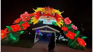 Dragon Lights RENO 📌 #viralvideo 