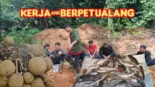 Camping, Kerja ditengah Hutan Kalimantan part 2,menemukan durian unik dan langka...