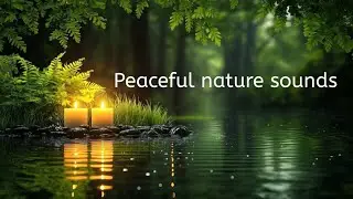 15 minutes keep your mind relax and peaceful deepsleep #sleepsounds #forestsounds #nature 