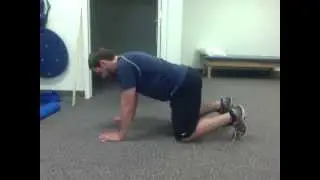 Assessment of Functional Movement - Trunk Stability