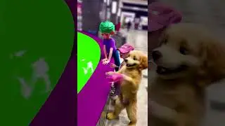 НЕ БРОСАЙ ЭТОГО ЩЕНКА! 😲😆 🐕 #shorts #3d #funny