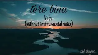 &ldquo;Tere Bina  Raw Emotions in Voice Only&rdquo; Original Uninstrumental Song (Official Release)