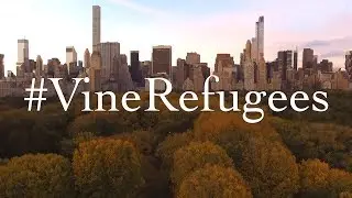 #VineRefugees | A Dedication to #Vine