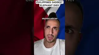 Philippines Saddest Elephant Died