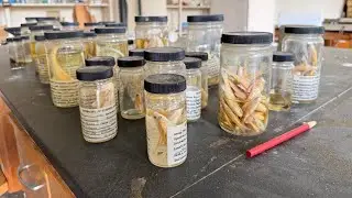 WE FOUND SPECIMENS INSIDE THIS ABANDONED LABORATORY!!