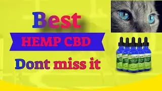 Best Cbd Oil For Dogs With Arthritis Amazon -  What Is The Best Cbd Oil For Dogs With Arthritis  😊💕😍