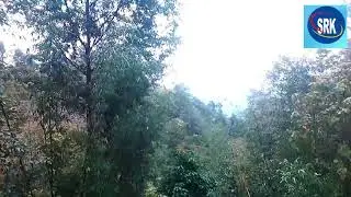 west bengal forest