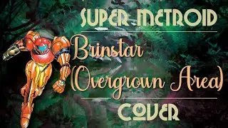 Upper Brinstar Theme (The Jungle Area) - Super Metroid - Cover