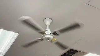 Martec rattan ceiling fans March 2025 update (one replaced)