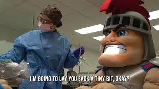 Tommy Titan gets cleaning, explores Detroit Mercy Dental