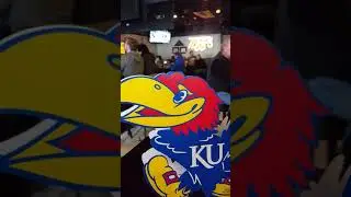 KU-themed sports bar day in St. Paul, MN