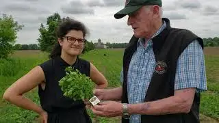 Produce Handling Tips with Grant - Cilantro!