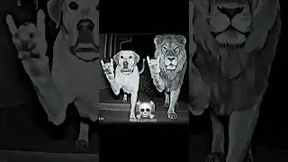 Lion and dog☠️ mafia#shorts#mafia#edit