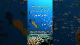 Dua of Prophet Yunus | Dua in Time of  Hardship and Anxiety | Doa Nabi Yunus | Ayat Karima
