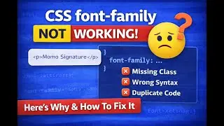 CSS Fonts Explained | Font Family, Serif vs Sans-Serif & Best Practices
