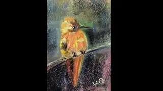Drawing a Robin with Soft Pastels #shorts