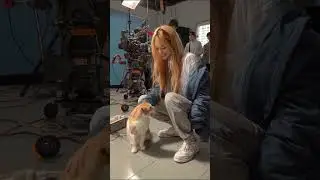 ㊗️90万再生🎉🐈️チェンソーマン レゼ編 映画の撮影現場 Chainsaw Man Reze Arc Movie Behind The Scenes 체인소 맨 레제 편 영화 촬영 현장