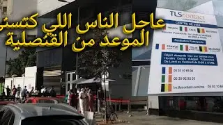 موعد مع القنصلية TLS Contact