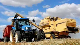 MOISSON 2023 | New Holland TX68