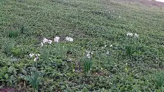 يوم مشمس 😍 شاهدو الفيديو حتى الاخر❤️