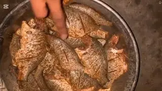 سبسکرائب برو کی مچھی قاسم بھائی کھا رہے ہیں مچھی فرائی کرنے کا طریقہ 
