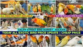 Kolkata Bird Market | Exotic Bird Price Update | Galiff Street Pet Market | 08/02/2026 