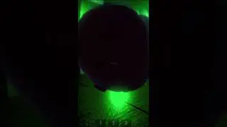 Дед крякнул