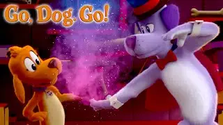The Magic and Talent Show | GO, DOG, GO | NETFLIX