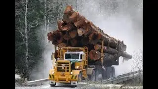 The Canadian Logging Industry Report 2025
