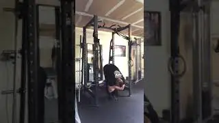 Training Tip Tuesday (Hanging leg raise tip)