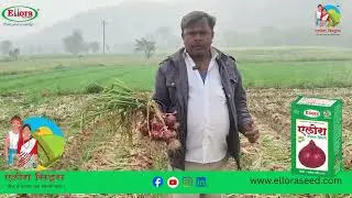 Ellora Seeds | Ellora Nandi #elloraseeds #agriculture #farming #onion #farmer #agri #review #reels