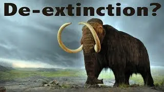 Should we Reverse Extinction?