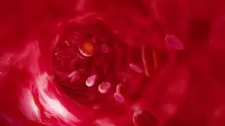 Blood Cell under microscope