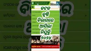 ICAR-NRRI Cuttack Recruitment 2024 #odishajob2024 #sunildalaiodishajobs #shortsodia