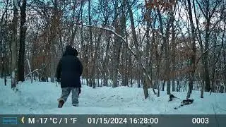 The Shadow 2