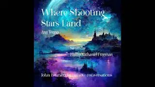Where Shooting Stars Land - Ann Tenno