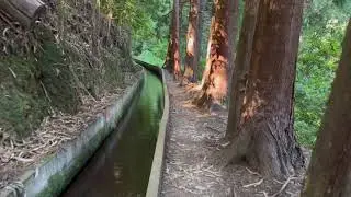 Levada Faj&atilde; do Rodrigues, Hiking in Madeira