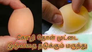 Shell week egg or Skin shell egg problem solution for country chicken
