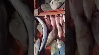 Charna fishing trip 2020