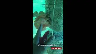 How to spray water in mushroom farm मशरूम फार्म में पानी का छिड़काव कैसे करें?