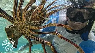 St Brandon Snorkeling Trip Day 3