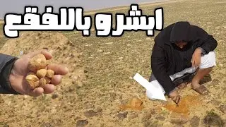 فقع الجوف لقط مباشر ياسلام