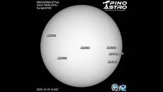 Daily Sunspots: Dec 18, 2025 #PinoAstro