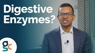 Digestive Enzymes - What are they, and how do they work?