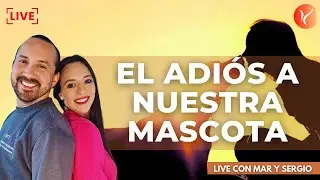 DECIRLE ADIOS A NUESTRA MASCOTA Un momento dificil que puede ser trabajado con anticipacion desd